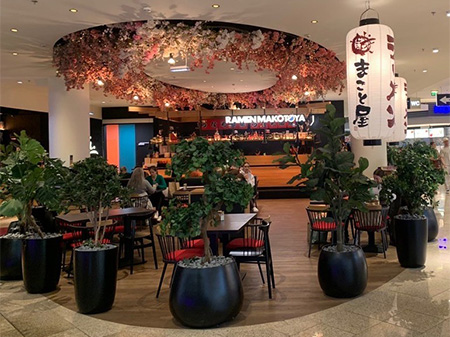 Ramen Makotoya KONTAKT Austria